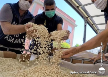 قانون الكبتاغون الأمريكي وفرصة تفكيك بنية نظام الأسد