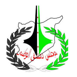 مجلس دمشق الوطني