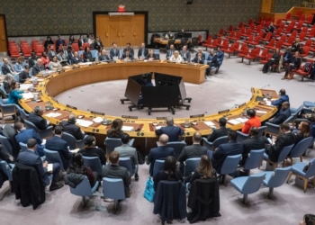 بيان الدول العربية لمجلس الامن بشأن سويا