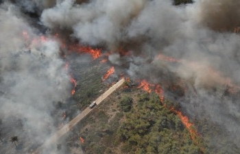 دعوة عاجلة لإعلان حالة الطوارئ البيئية: حرائق اللاذقية تهدد مستقبل سوريا البيئي